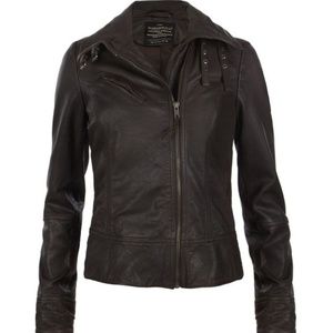ALLSAINTS | Brown Belvedere Leather Jacket